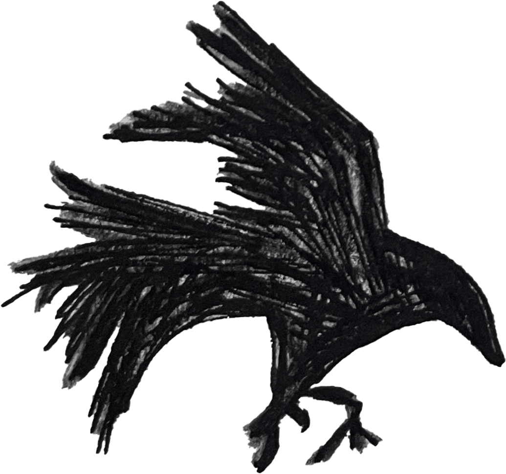 crow