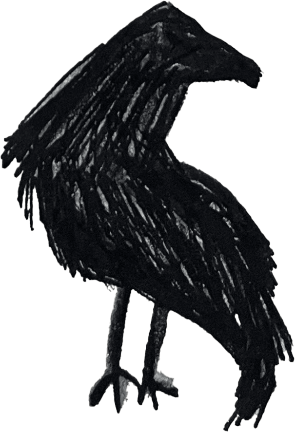 crow