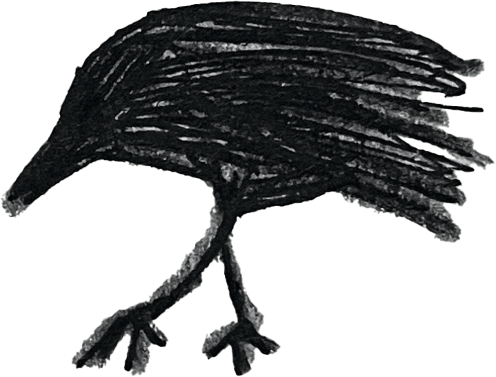 crow